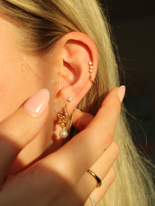 Ear Seeding Starter Kit